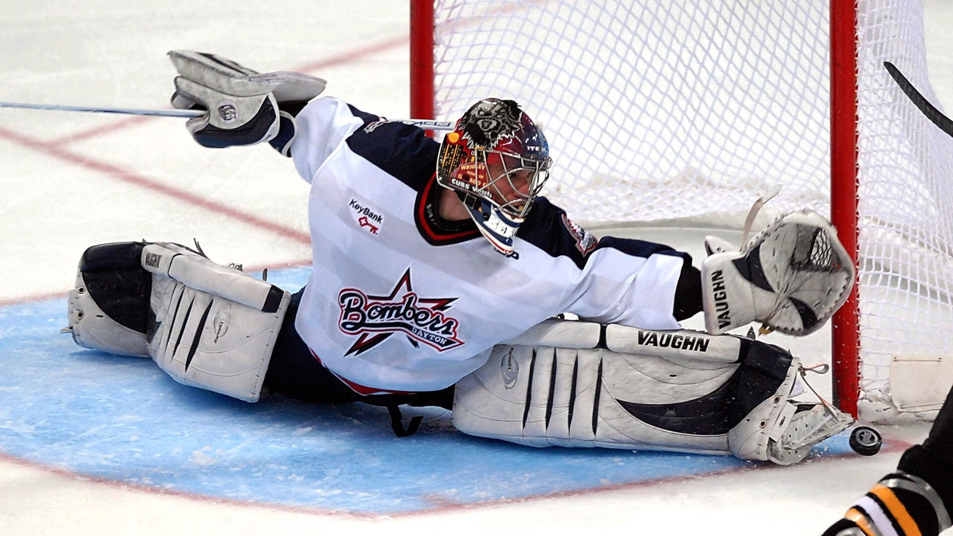 “美洲狮队：阿根廷橄榄球的崭新篇章”