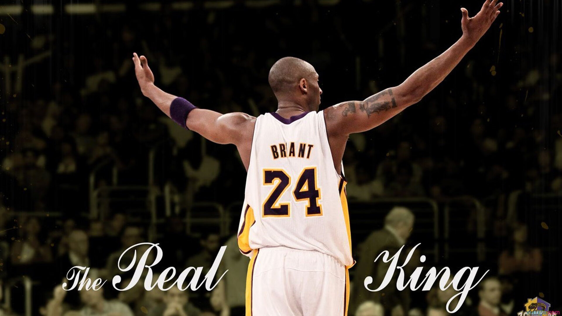 开云中国大陆-李娜与同代球员聚会回忆青春岁月，李娜hm